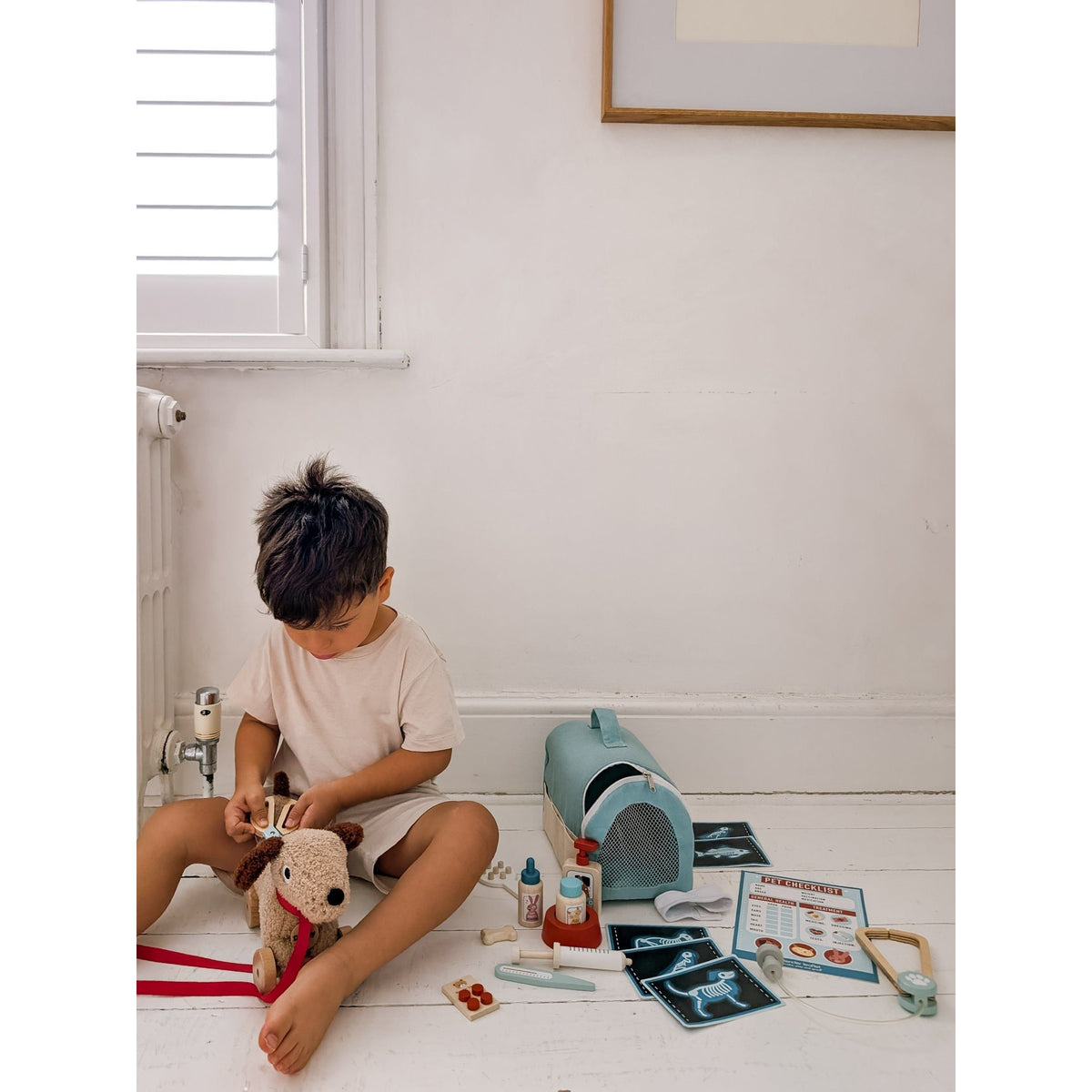 Animal Rescue Vet Set