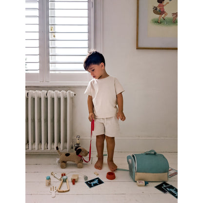 Animal Rescue Vet Set