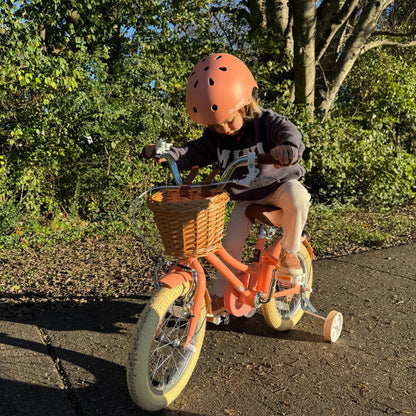 Glerc 16 Inch Kids Bike For 4 - 8 Years Old - Little Molly