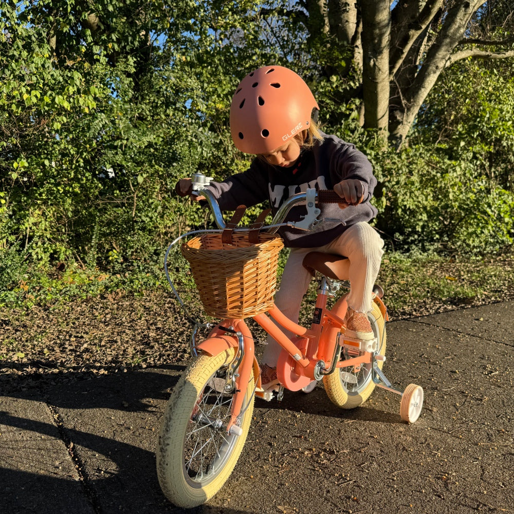 Glerc 14 Inch Kids Bike For 3 - 5 Years Old - Little Molly