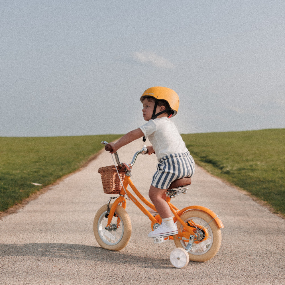 Glerc 14 Inch Kids Bike For 3 - 5 Years Old - Little Molly