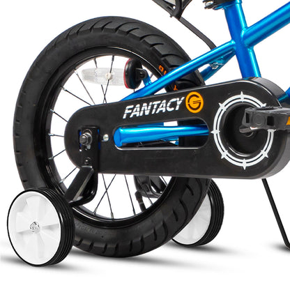 Glerc 16 Inch Kids Bike with Water Bottle - Fantacy