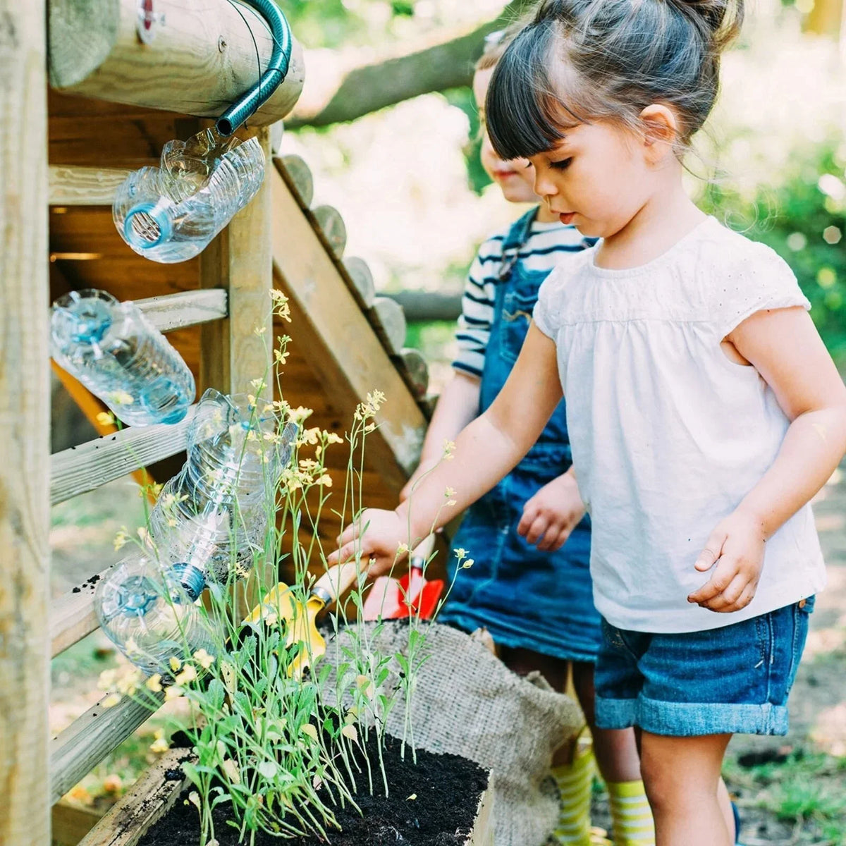 Plum Discovery Woodland Treehouse