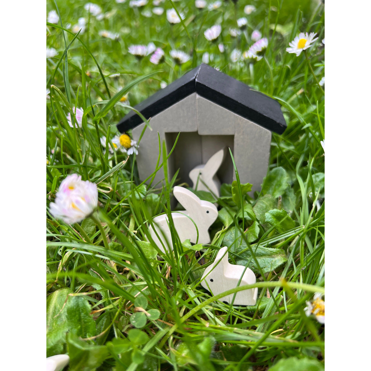 Little Garden Designer