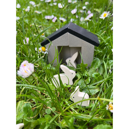 Little Garden Designer