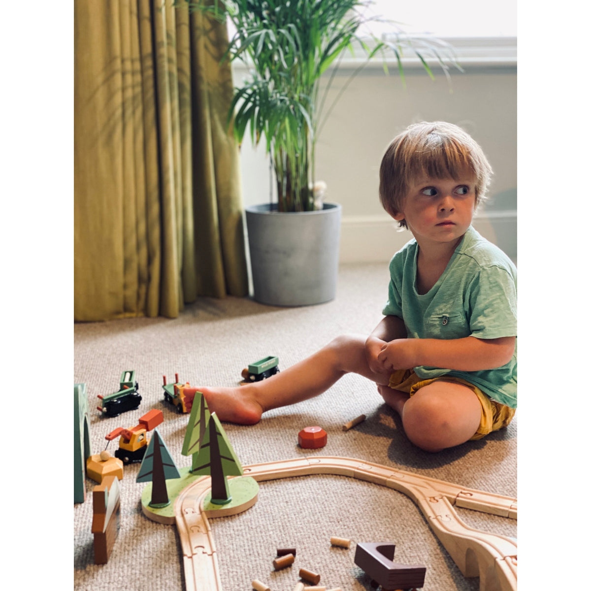 Wild Pines Train Set
