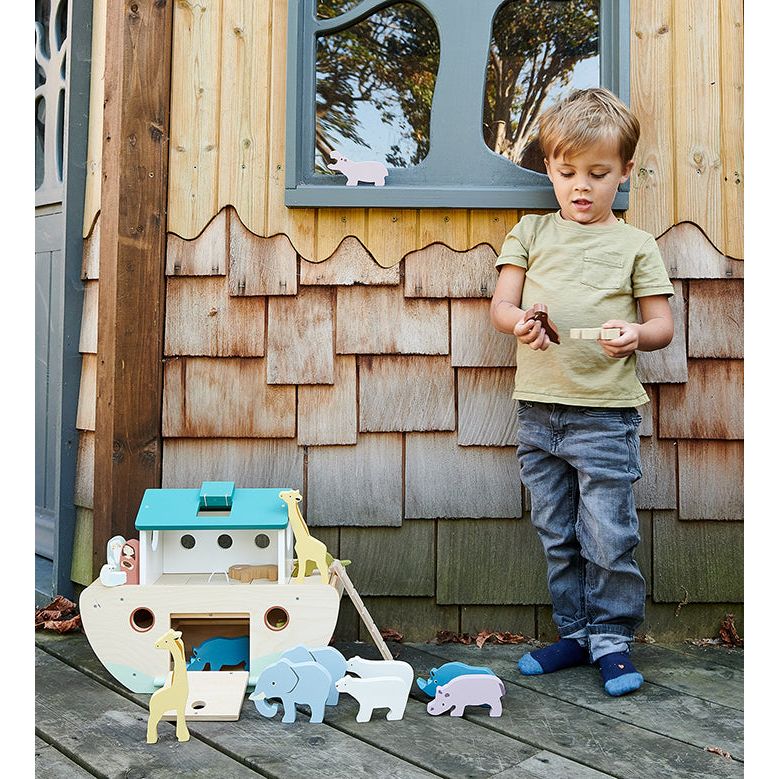 Noah's Wooden Ark