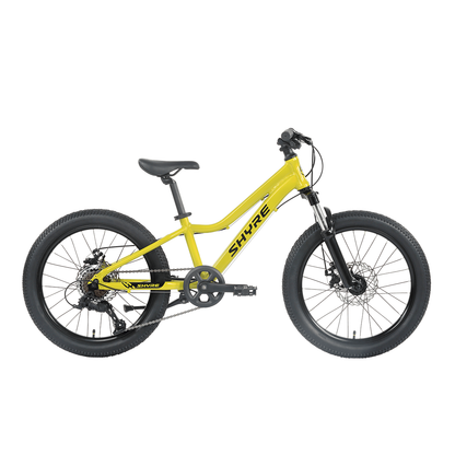 Shyre Eastie 20" Wheel Kids Mountain Bike