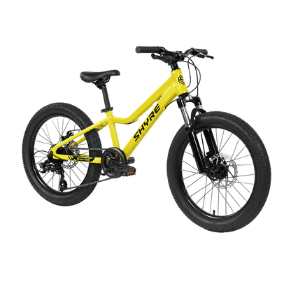 Shyre Eastie 20" Wheel Kids Mountain Bike