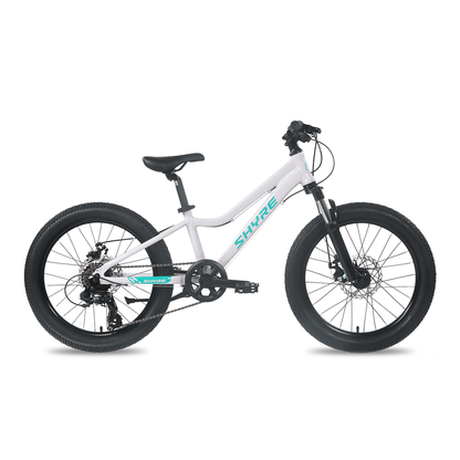 Shyre Eastie 20" Wheel Kids Mountain Bike