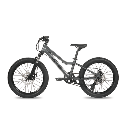 Shyre Eastie 20" Wheel Kids Mountain Bike