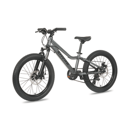 Shyre Eastie 20" Wheel Kids Mountain Bike