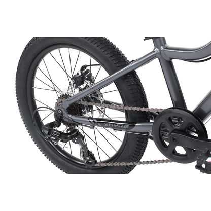 Shyre Eastie 20" Wheel Kids Mountain Bike
